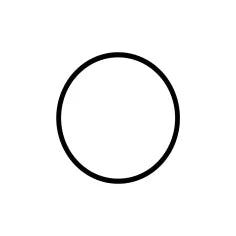 R-TERUS-ORING-8