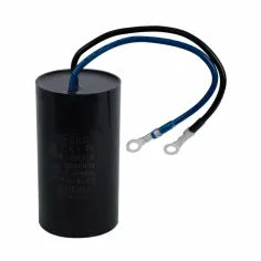 R-SILV/C20MF300V